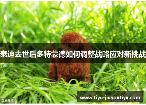 泰迪去世后多特蒙德如何调整战略应对新挑战