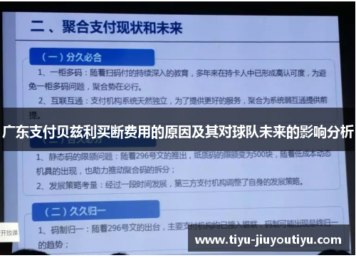 广东支付贝兹利买断费用的原因及其对球队未来的影响分析