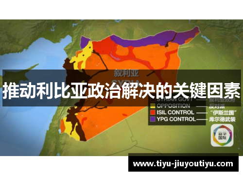 推动利比亚政治解决的关键因素 推动利比亚政治解决的关键因素