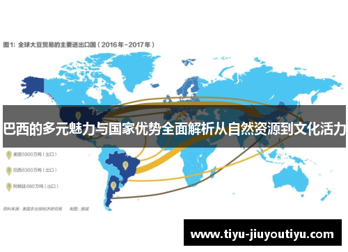 巴西的多元魅力与国家优势全面解析从自然资源到文化活力